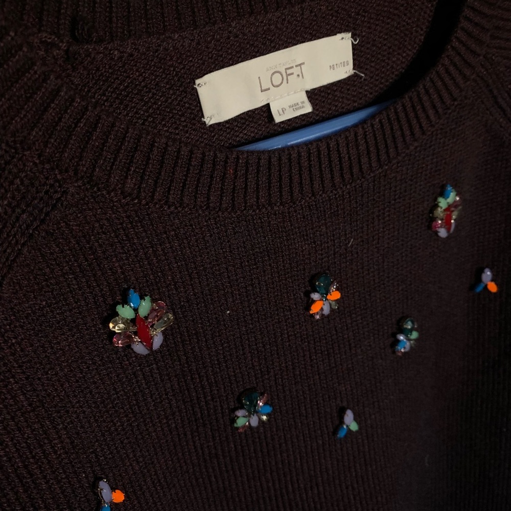 Loft Embellished Sweater- Never Worn